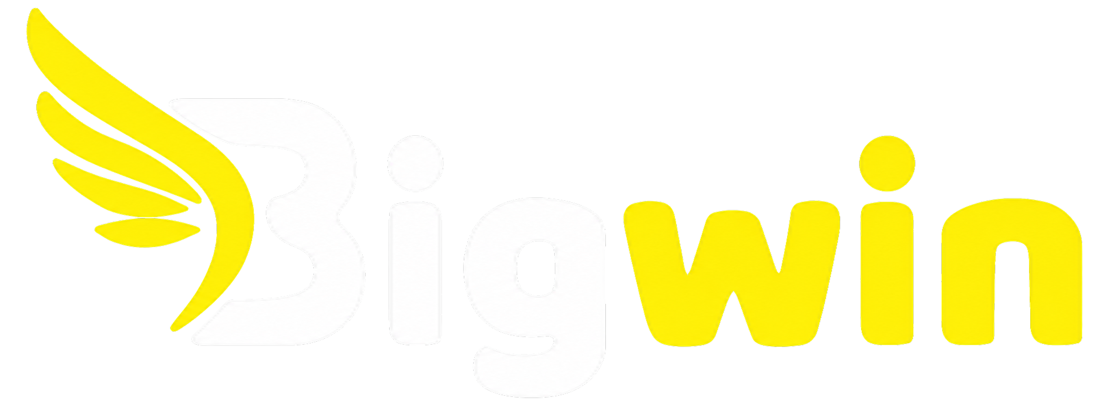 9Wicket Logo